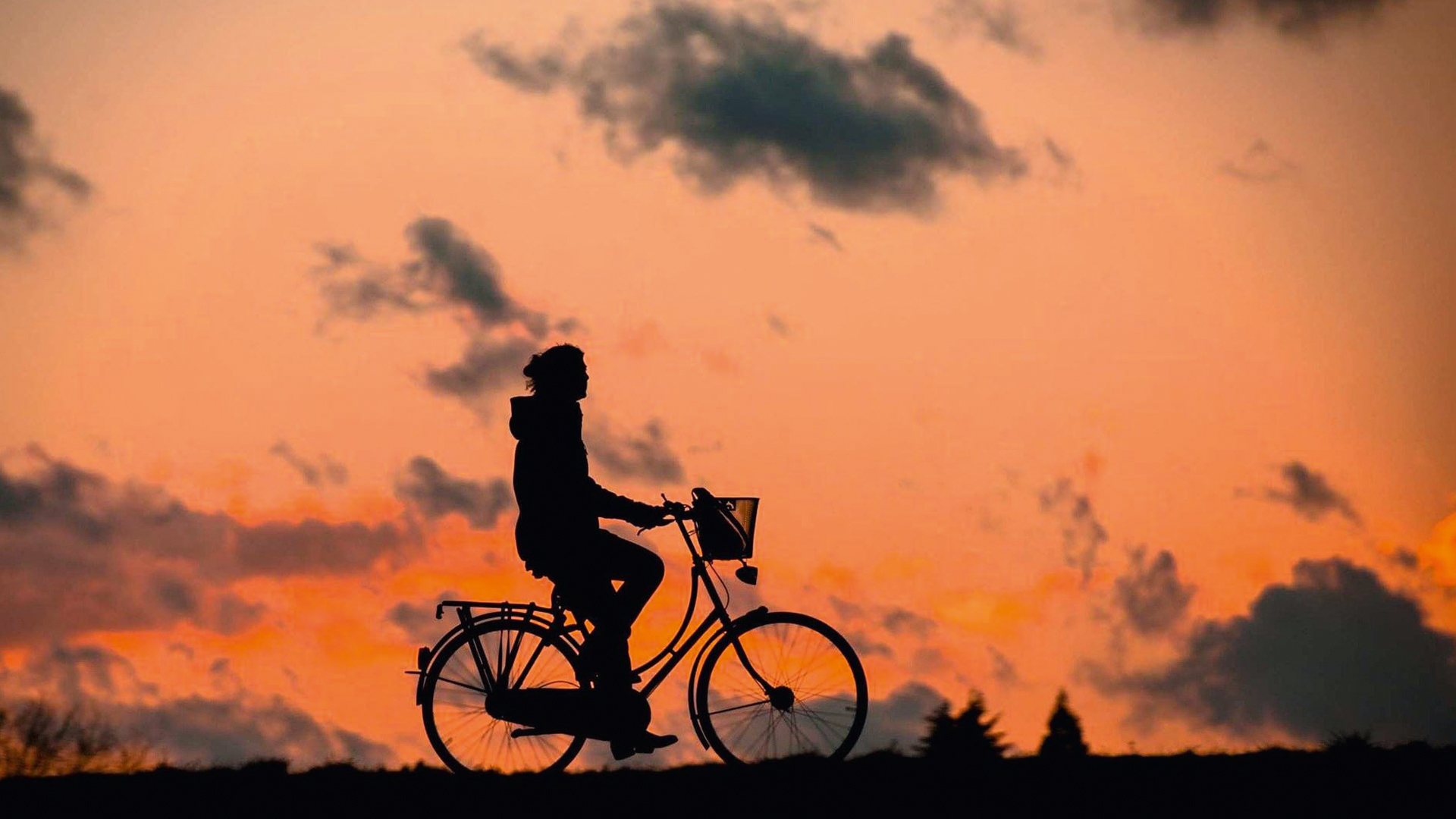 Green Mobility: “L’Alto Adige pedala”