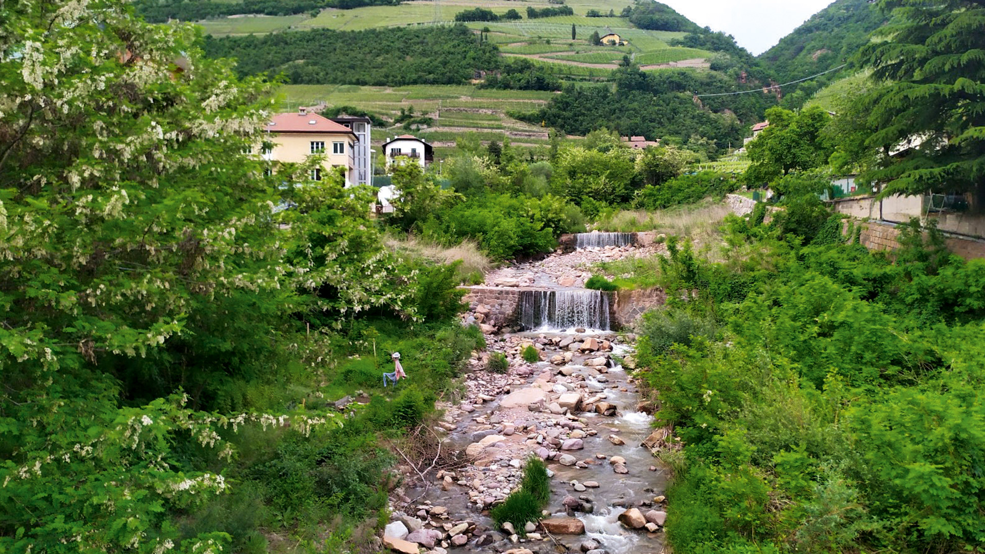 Le memorie del rione di Rencio #2