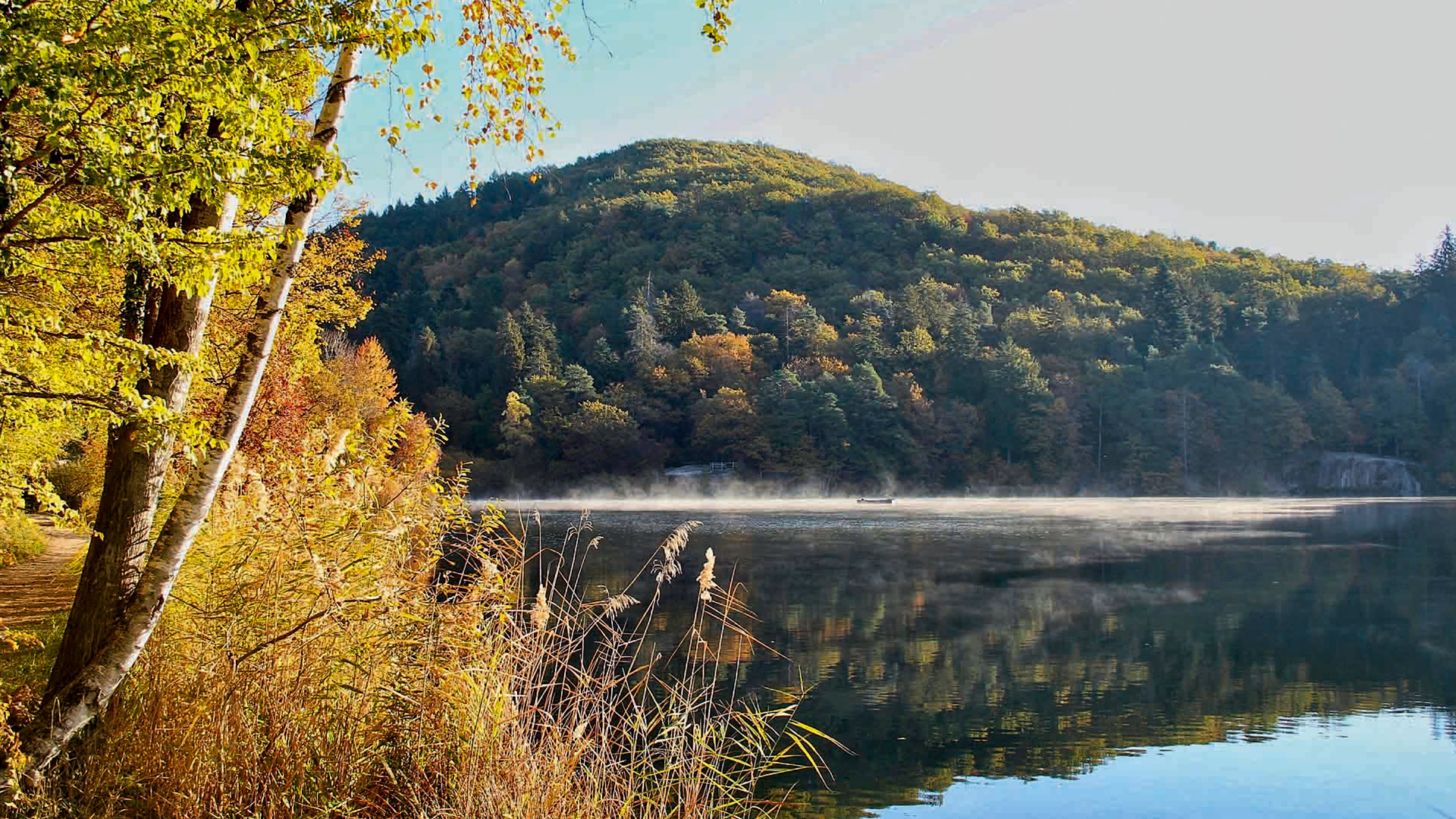 Monticolo, il bosco e Col dell’Uomo