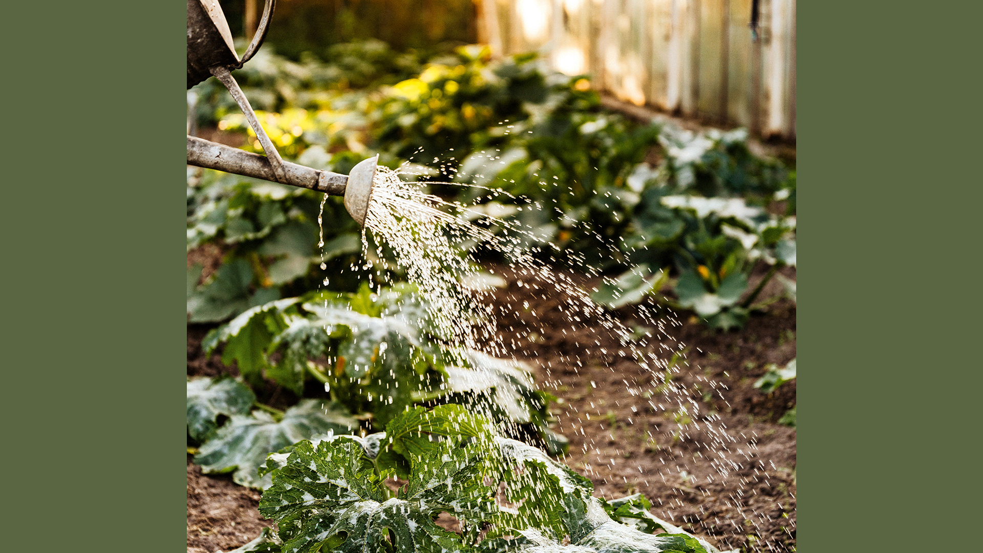 Risparmio di acqua