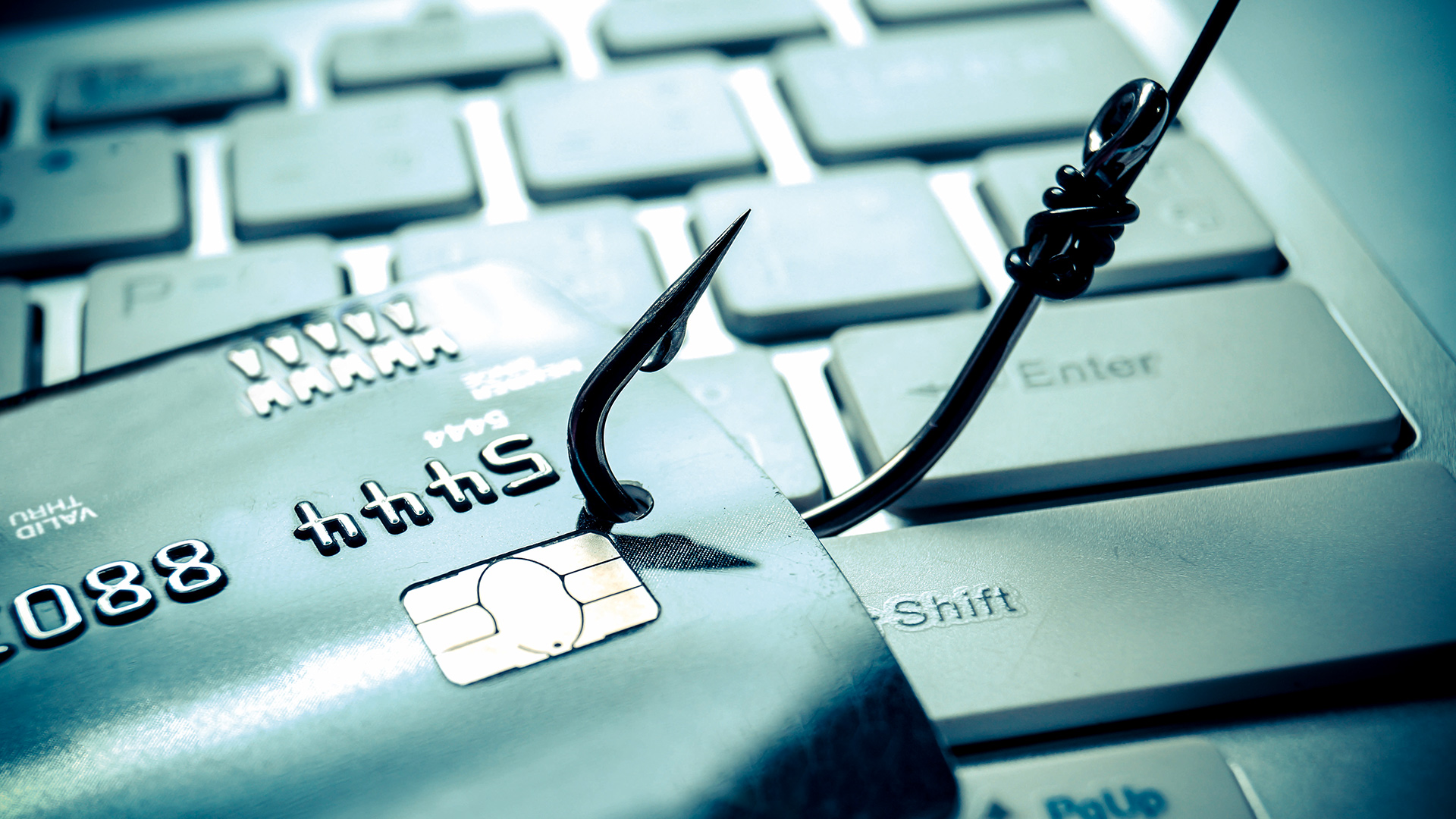 Il Phishing informatico: quando a pescare sono i malintenzionati